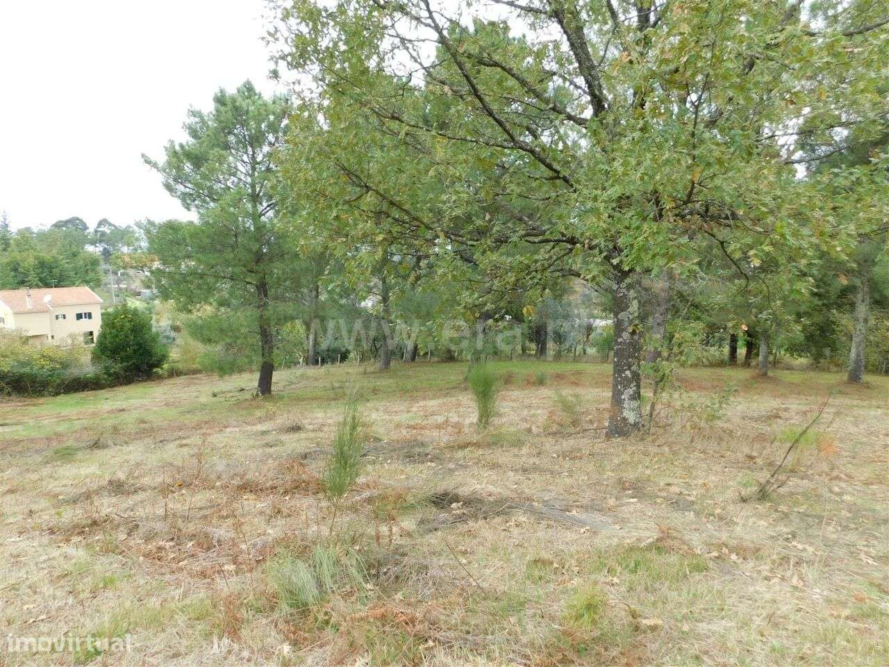 Terreno / Gouveia, São Paio - Grande imagem: 4/12