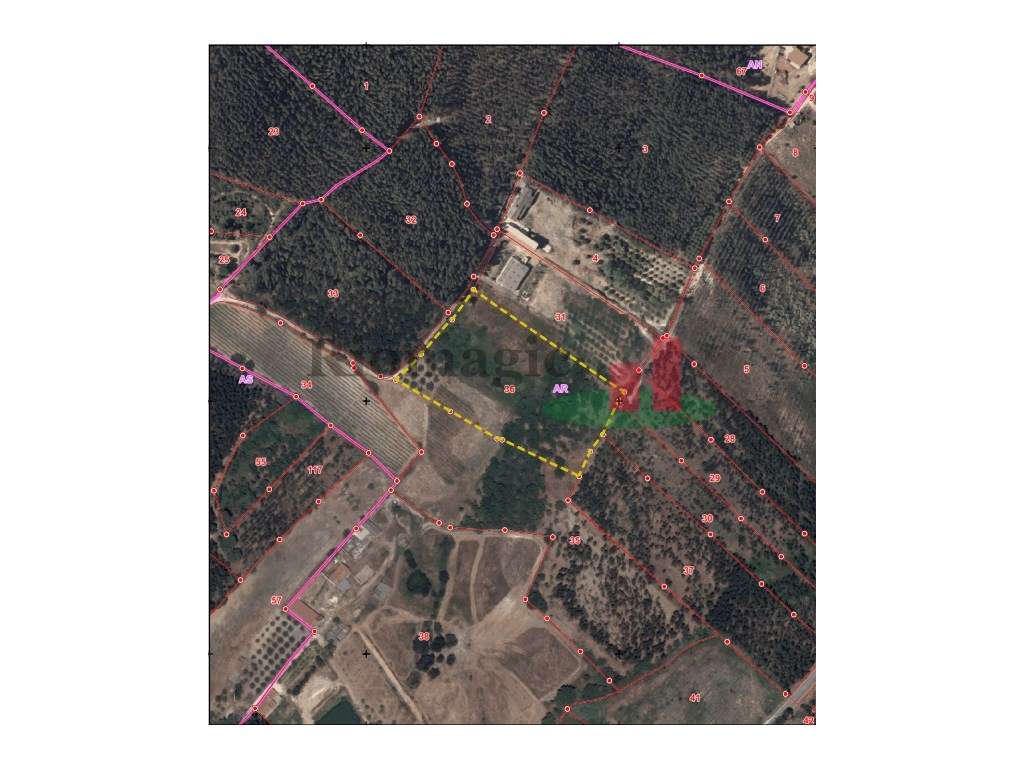 Terreno Vale Piloto/Rio Maior ***RIOMAGIC*** - Grande imagem: 2/2