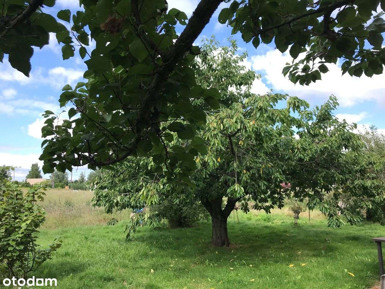 ROKIETNICA | dom do remontu/rozbudowy/rozbiórki-15