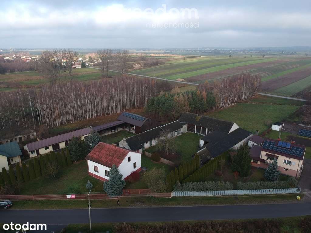 Nieruchomość z domem, gospodarstwem, lasem i polem - Pełny obrazek: 4/20
