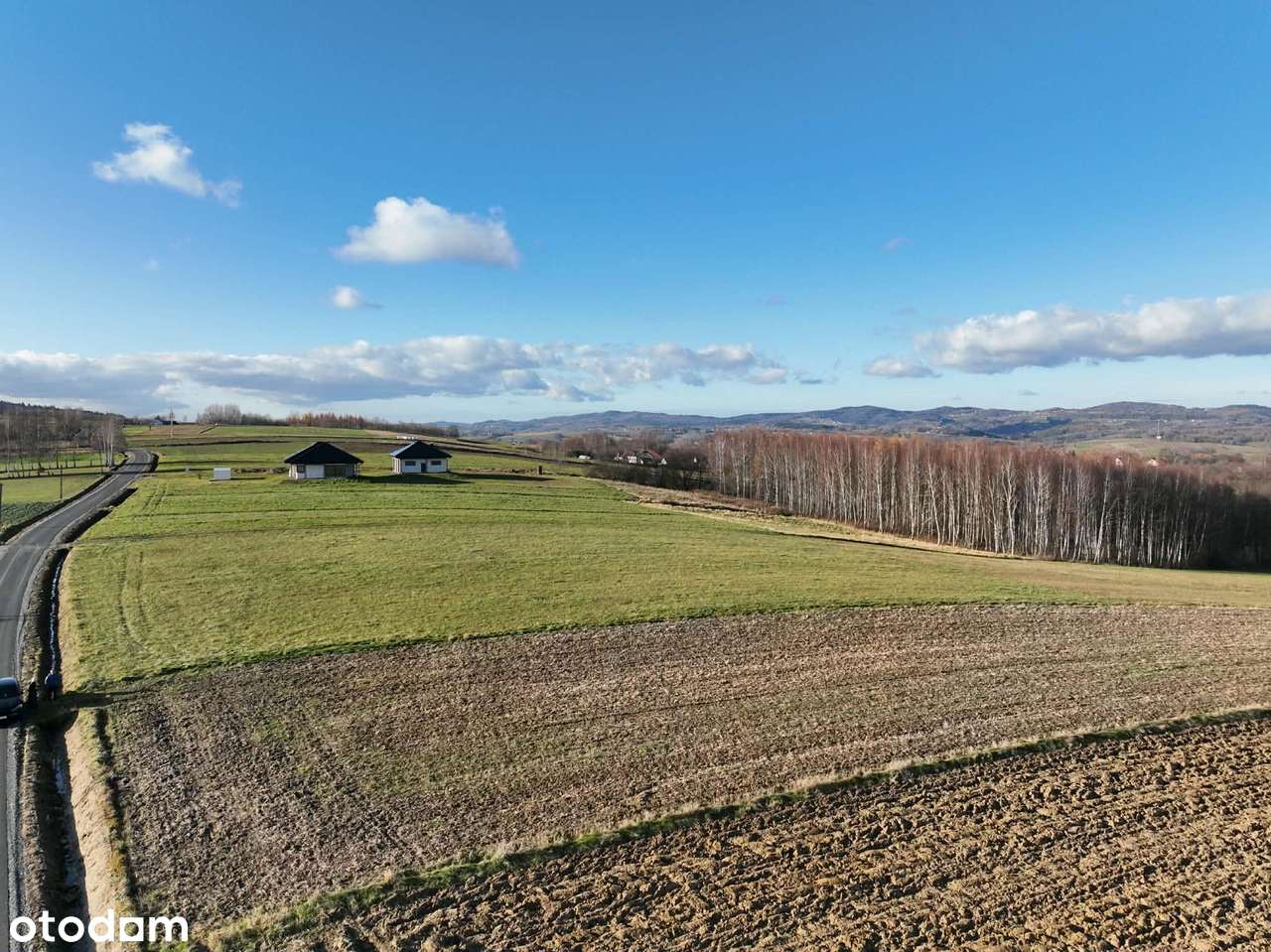 Ponad 1,5 ha działka w Ołpinach gm. Szerzyny-6