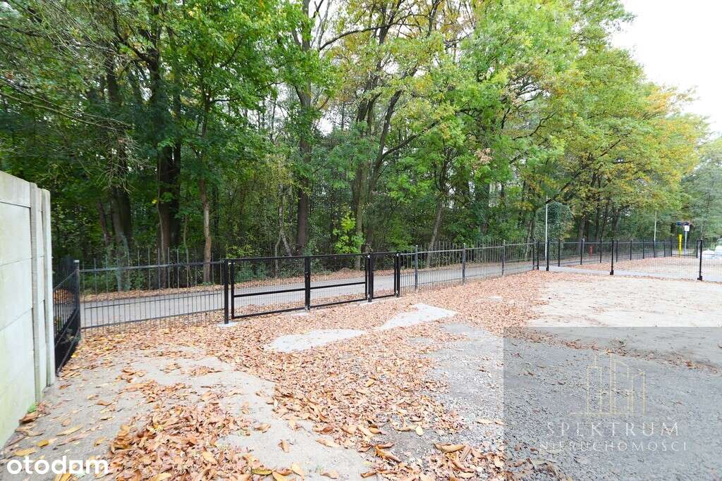 Bez prowizji, bez PCC. 145 m2 + działka 4,5ar-3