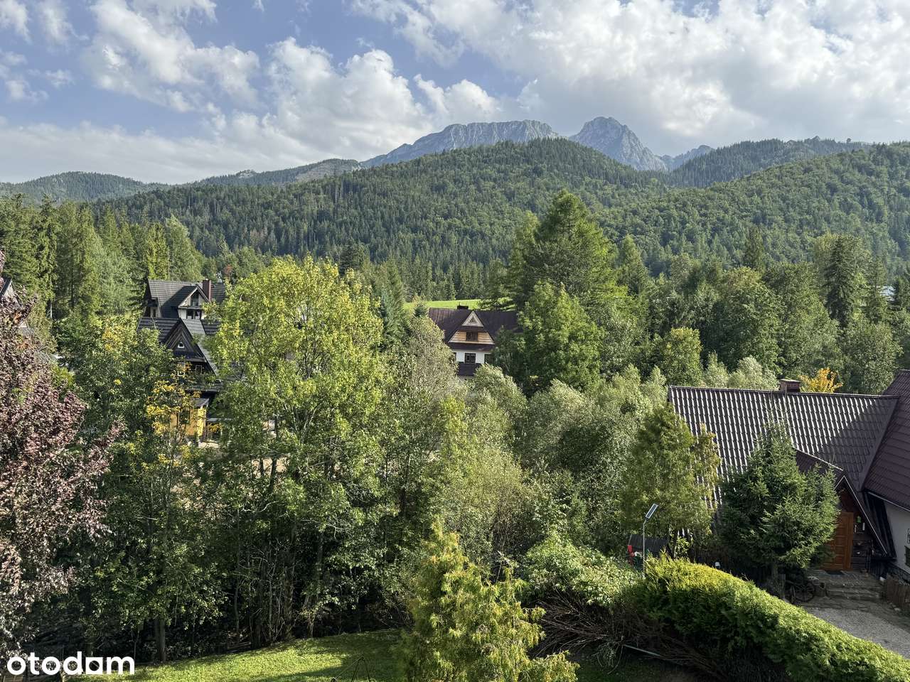 Pensjonat z projektem inwestycyjnym w Zakopanem - Pełny obrazek: 5/5
