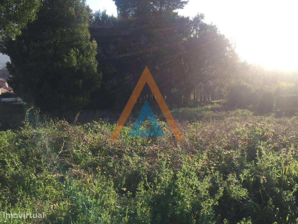 Vista extraordinária - Grande imagem: 5/7