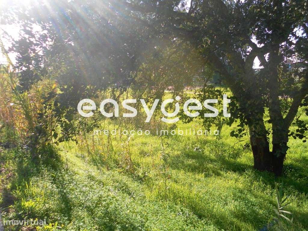 Lote de Terreno Urbano 253m2 para Moradia - Entroncamento - Grande imagem: 3/8