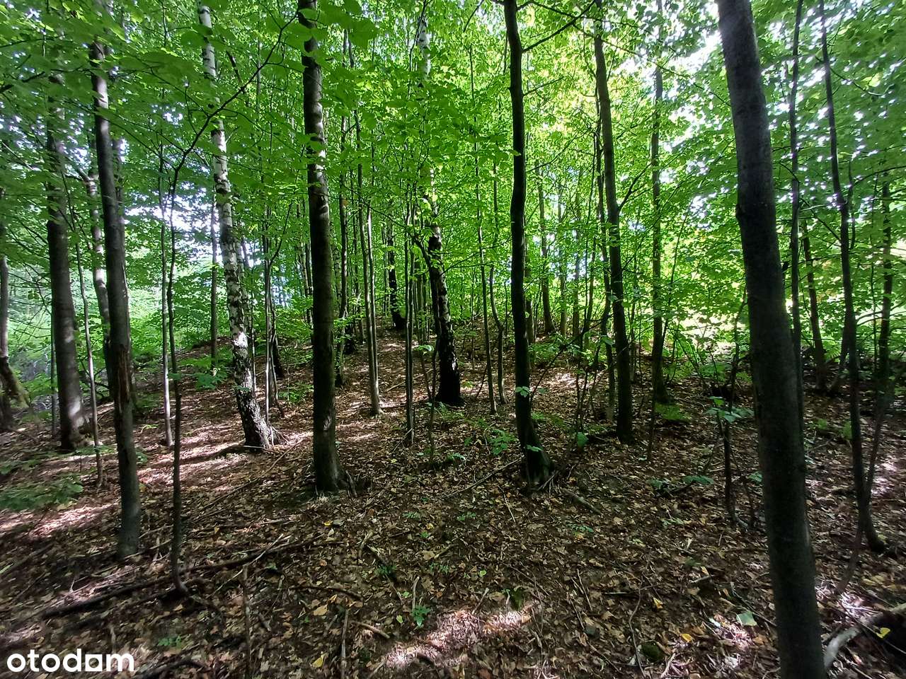 Działki na sprzedaż - Lanckorona ul. Krakowska-7