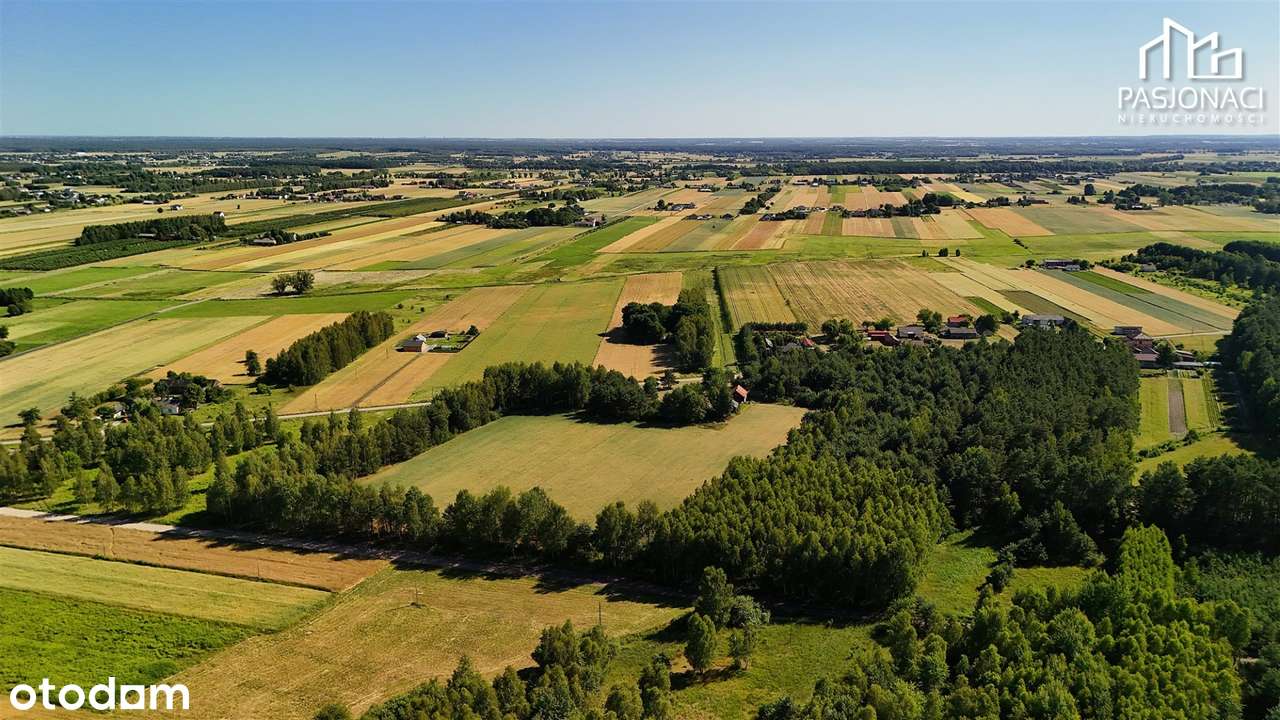 Doskonała lokalizacja z możliwością budowy osiedl - Pełny obrazek: 5/9