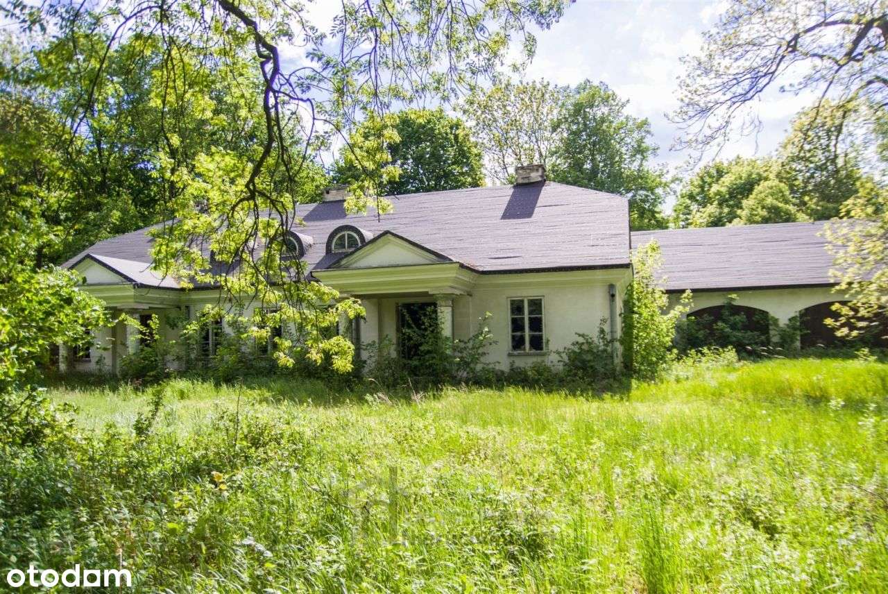 XIX zespół dworkowo - parkowy! - Pełny obrazek: 4/20