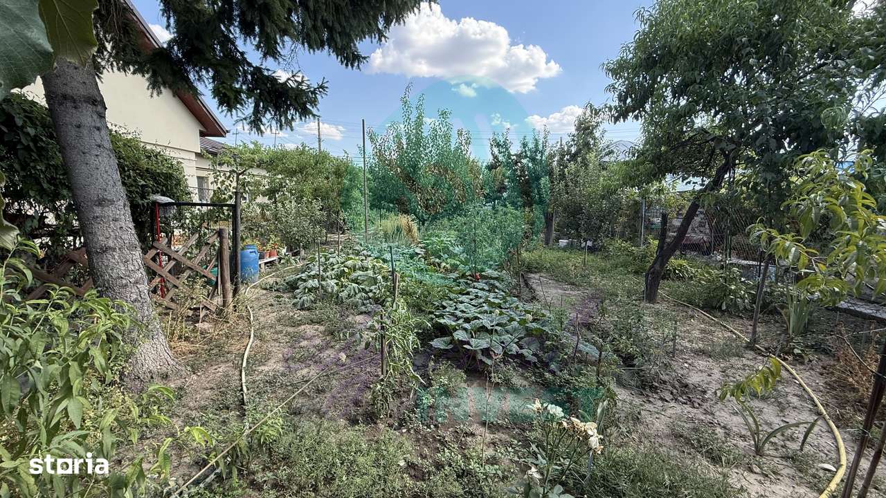 Casă parter + 1100 mp teren în Popești-Leordeni - Imagine principală: 4/11