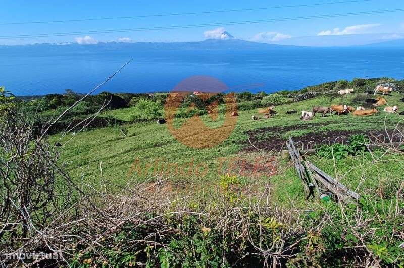 Venda Terreno - Grande imagem: 4/8