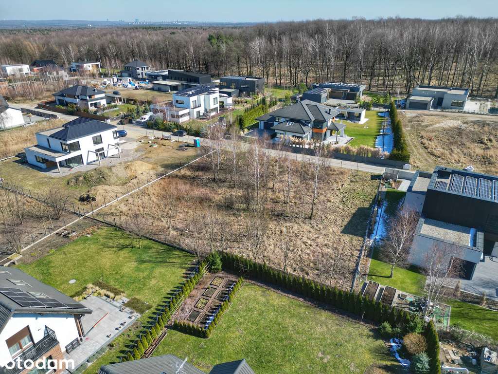 Willowa dzielnica przy lesie, media w drodze-3