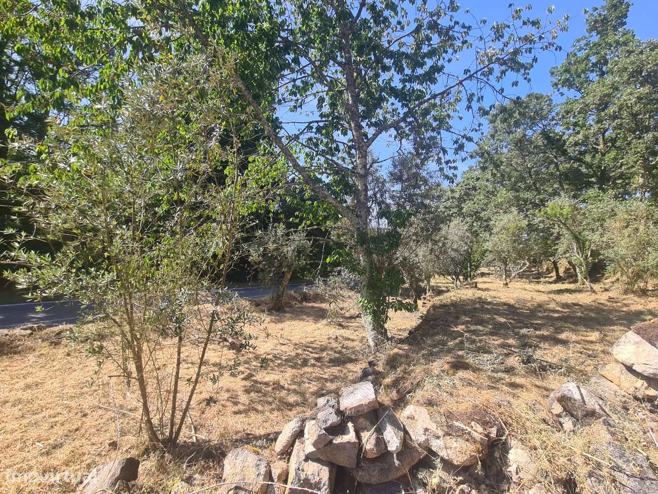 Marvão - Moradia ant. 1951 - Lote 2878 m2, Serra S. Mamede-8
