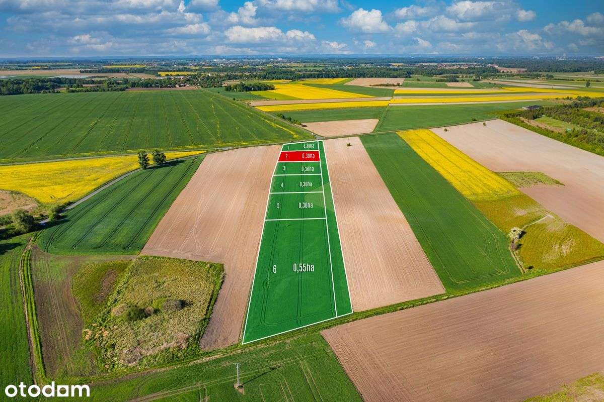 Działki siedliskowe w Bogdaszowicach - Pełny obrazek: 4/9