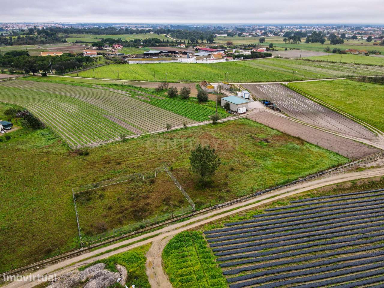 Terreno rustico com 1.291Avos - Grande imagem: 4/18