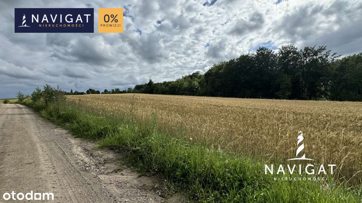 Działka nieopodal jeziora blisko Trasy Kaszubskiej - Pełny obrazek: 5/5