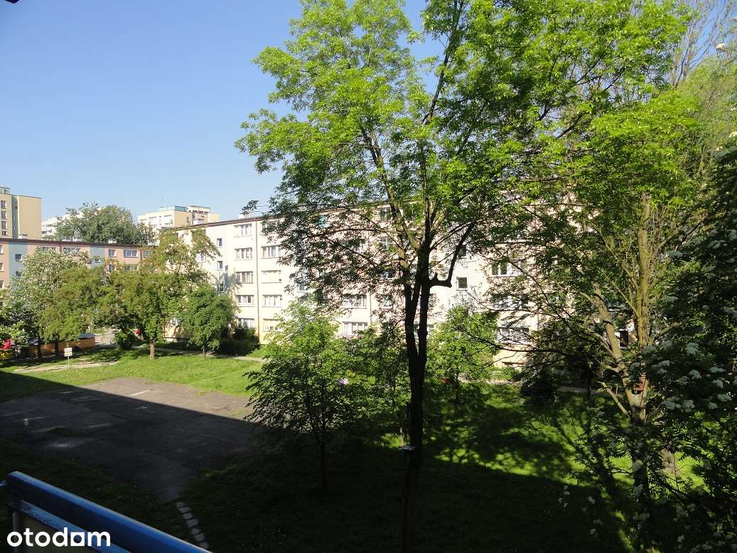 Trzy pokoje na drugim piętrze z dużym tarasem w okolicy "Tęczy" !-14