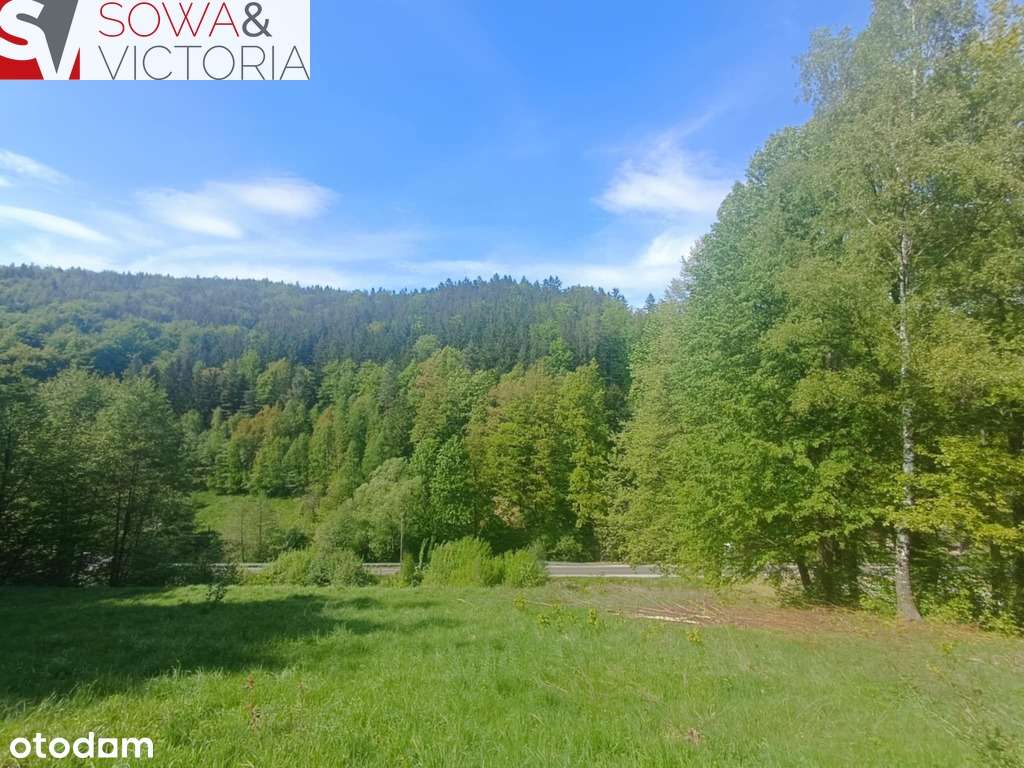 Widokowa działka w sąsiedztwie jeziora - ok 1 km - Pełny obrazek: 4/7