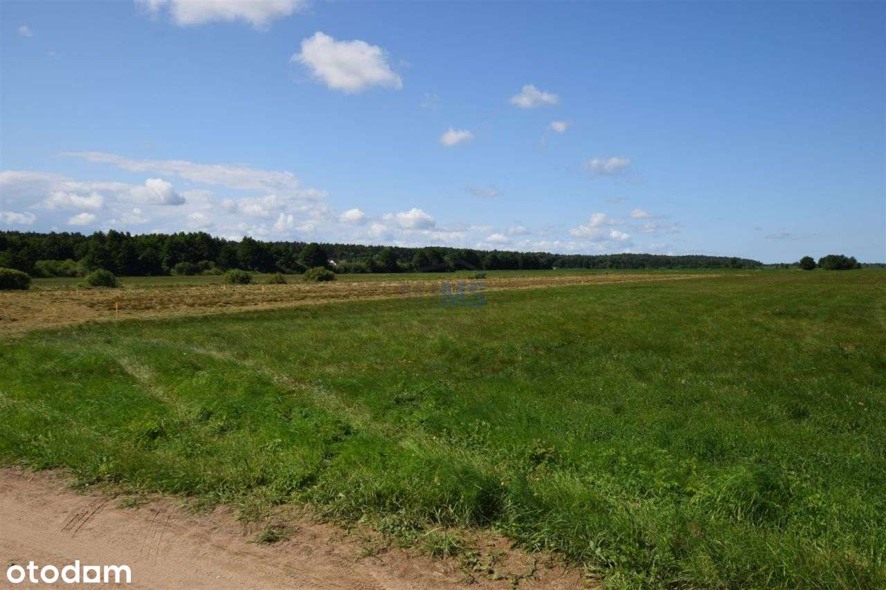 Działka 510m2 niedaleko morza - Karwieńskie Błota - Pełny obrazek: 5/8