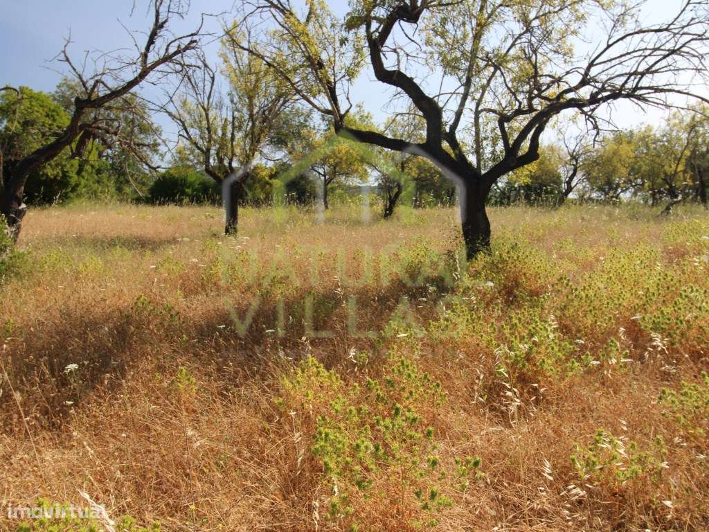 Ruína com terreno e Parcial Vista Mar, Estoi - Grande imagem: 3/6