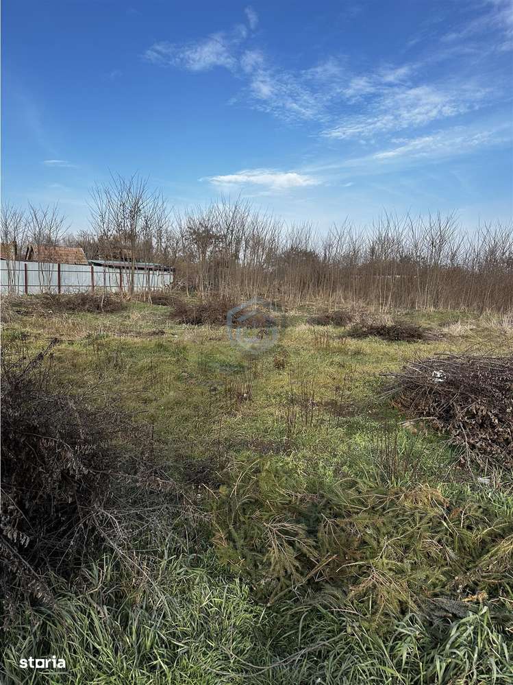 Parcele Intravilan, 5km de Salonta, Utilitati si asfalt - Imagine principală: 1/2