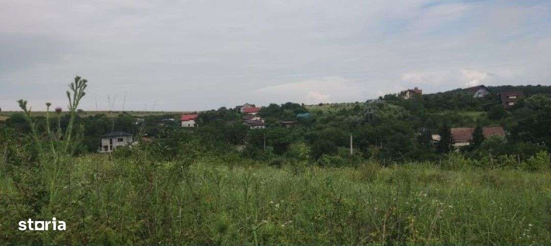 Teren Cârcea - Imagine principală: 3/8