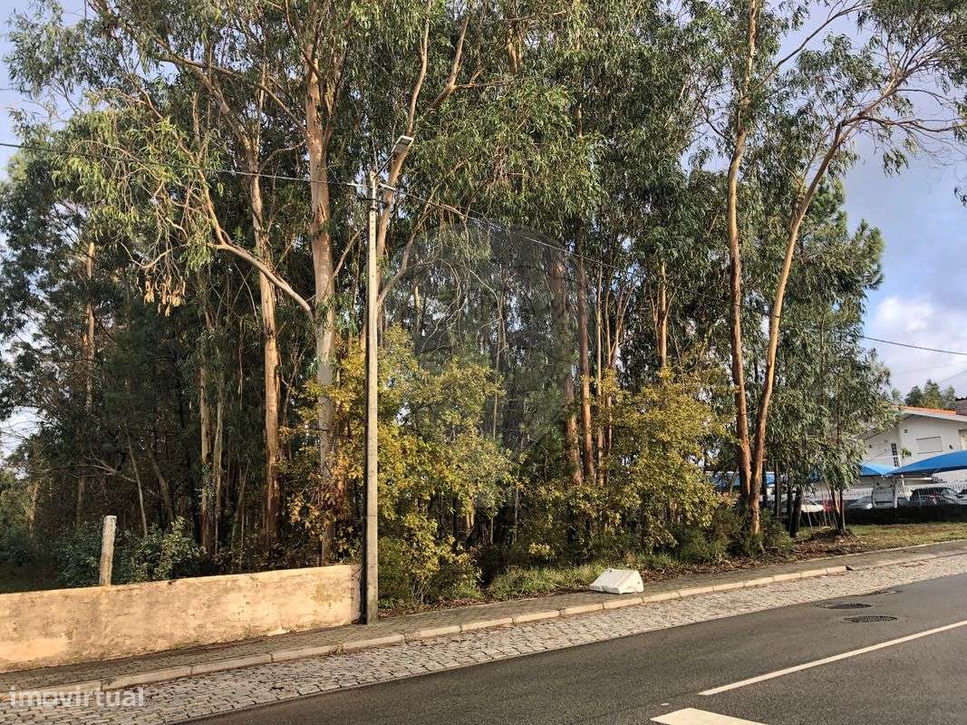 Terreno  para venda - Grande imagem: 4/9