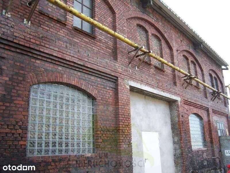 Hale, magazyny i powierzchnie produkcyjne 13000 m2-1