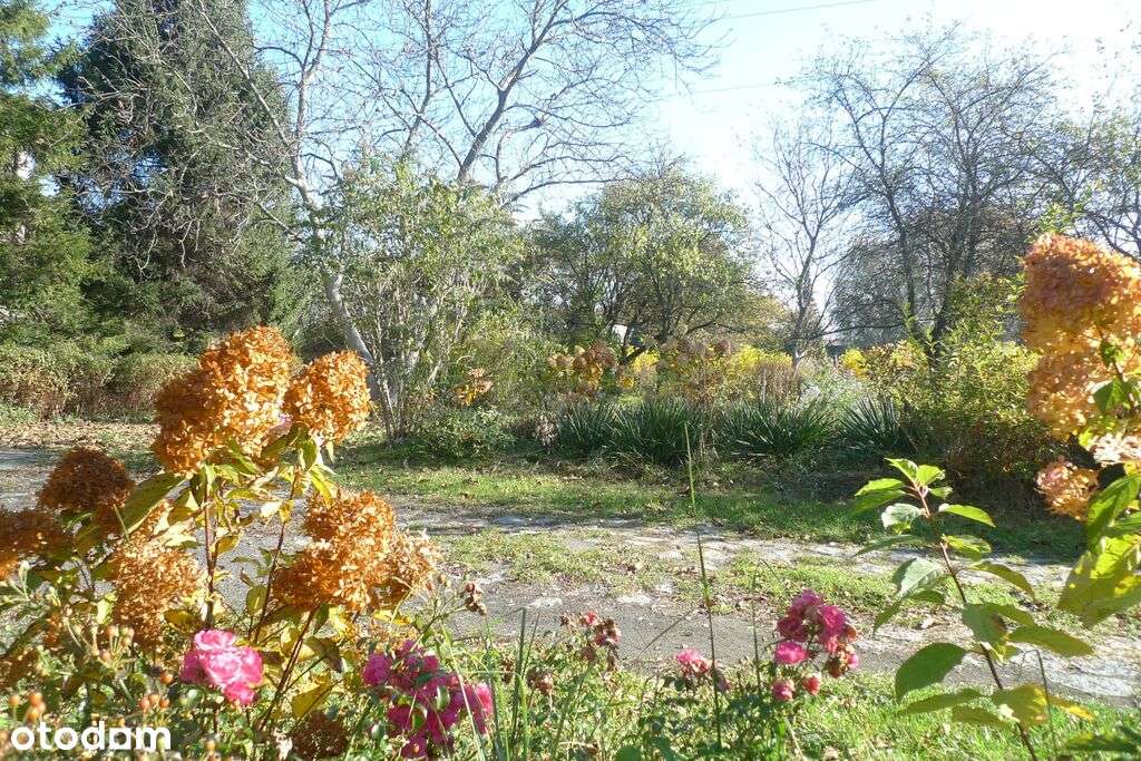 dom w mieście z ogrodem lub działka inwestycyjna!-5