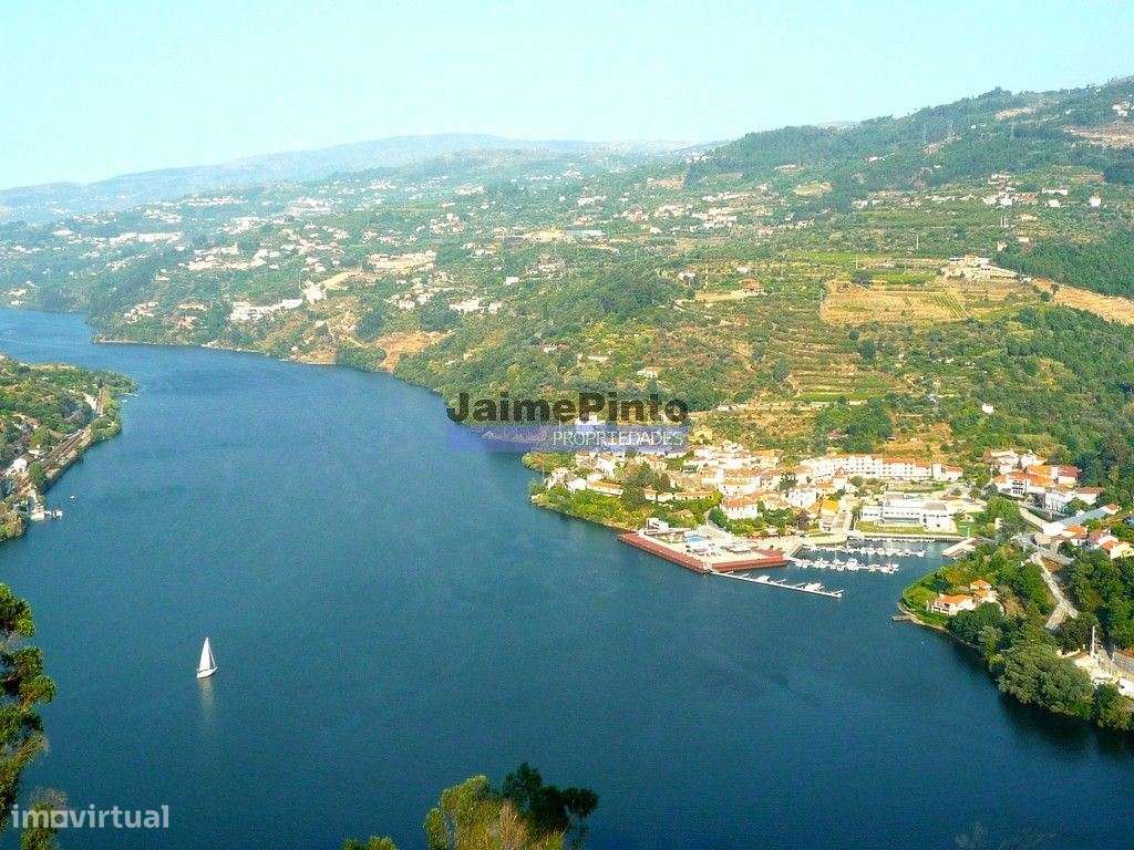 Quinta mini e Ruína, ampla vista rio Douro. Portugal, Norte, Porto,...-8