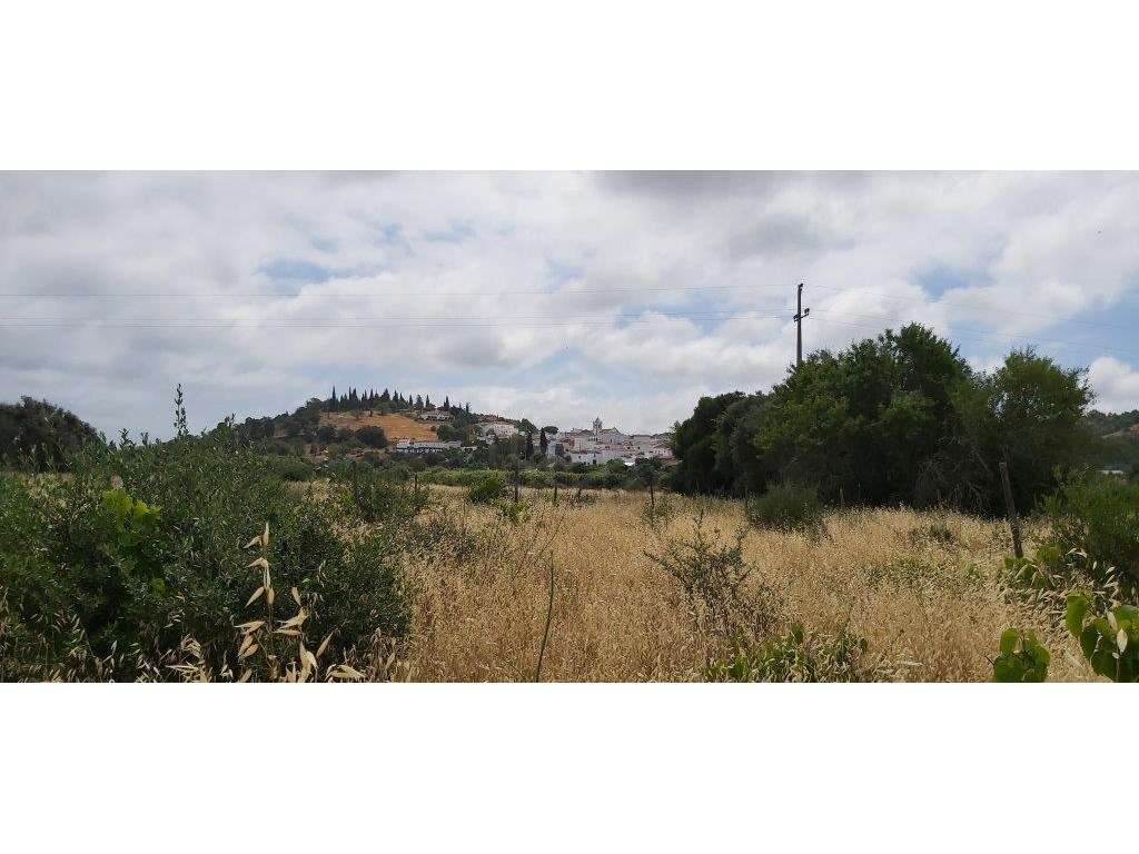 Terreno agrícola, várias culturas, Paderne, Albufeira, Algarve - Grande imagem: 3/15