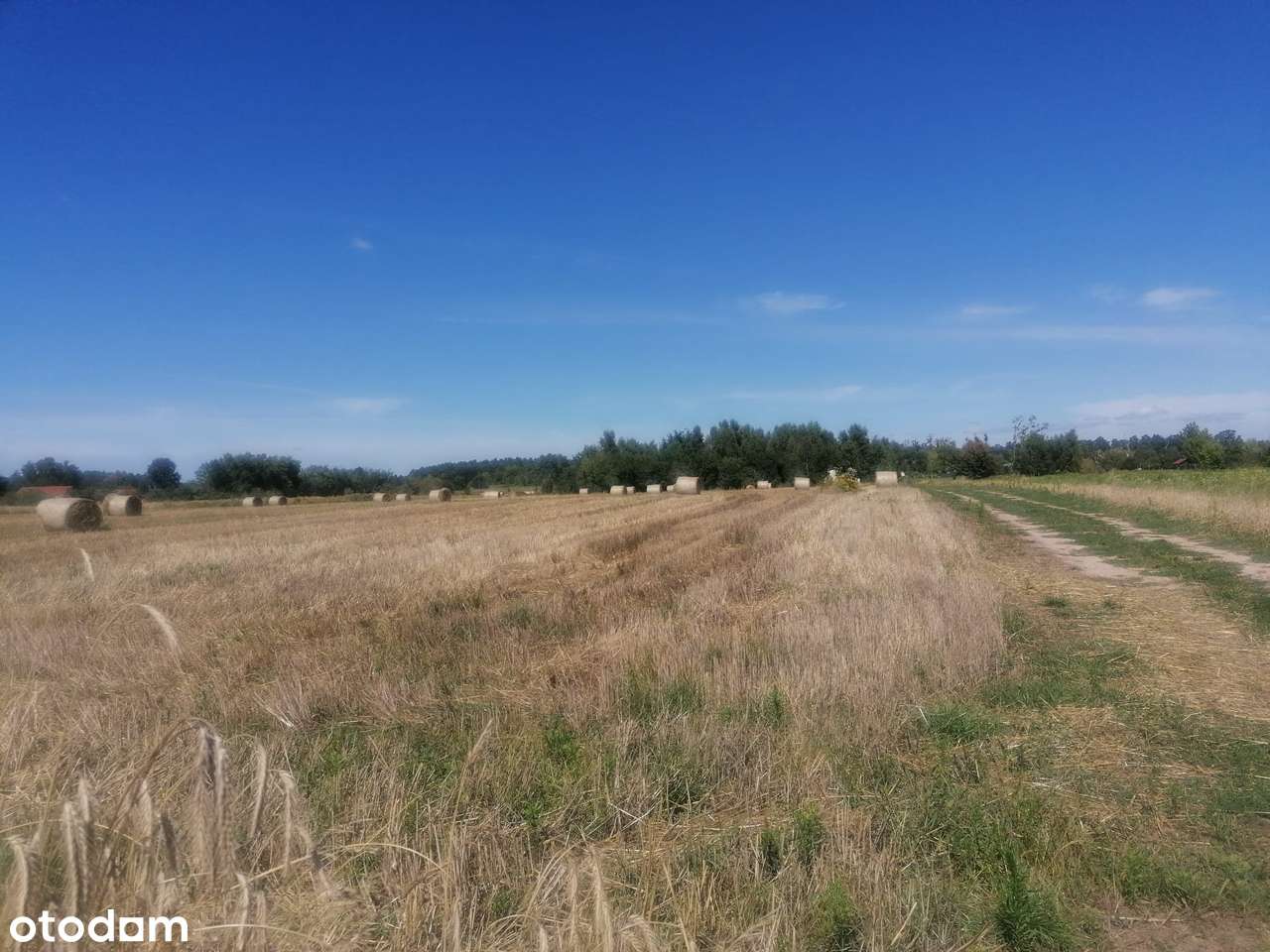 Atrakcyjna działka budowlana  nad Jeziorem Radgoskim - Pełny obrazek: 4/9