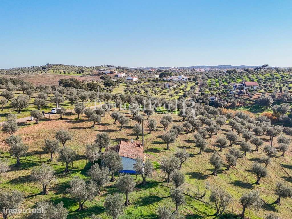 Monte alentejano para recuperar - Grande imagem: 3/10