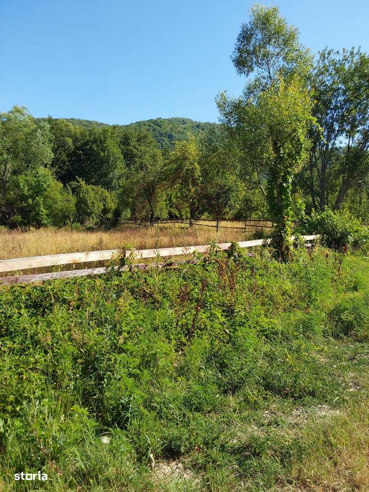 TEREN INTRAVILAN ZĂVOI\ZONA VALEA BISTREI, JUD.C-S-5