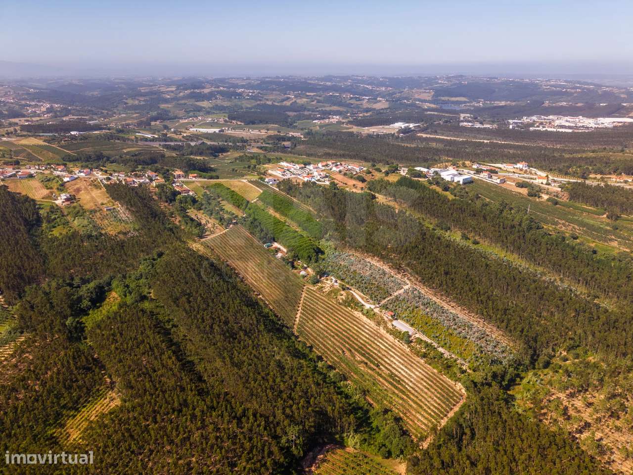 Terreno Agrícola na Fanadia | 16.100 m² de Potencial e Infraestrutu...-35