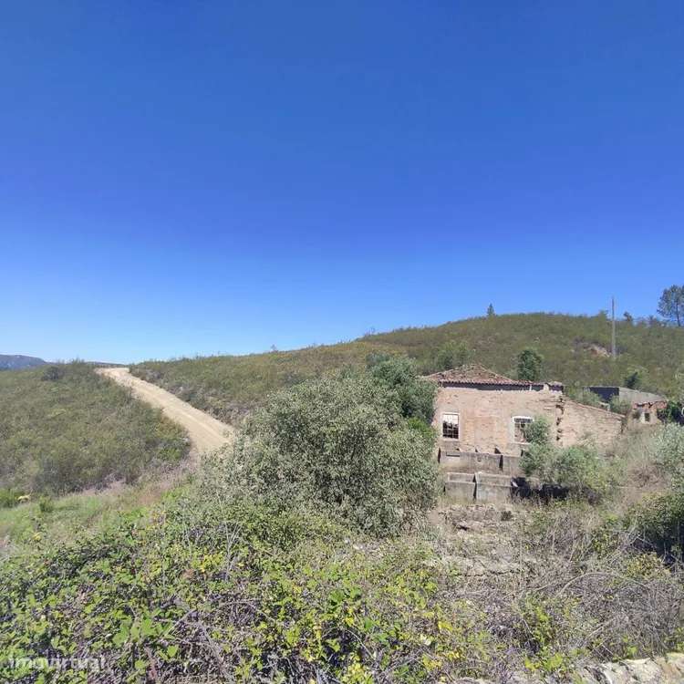 Lagar T1 - Antigo lagar em ruína, para investimento - Grande imagem: 2/20