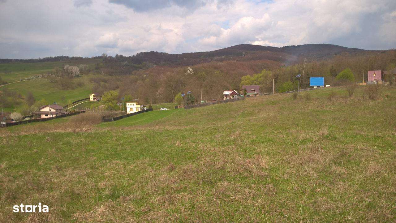 Vanzare teren Luncani, Bacau-11