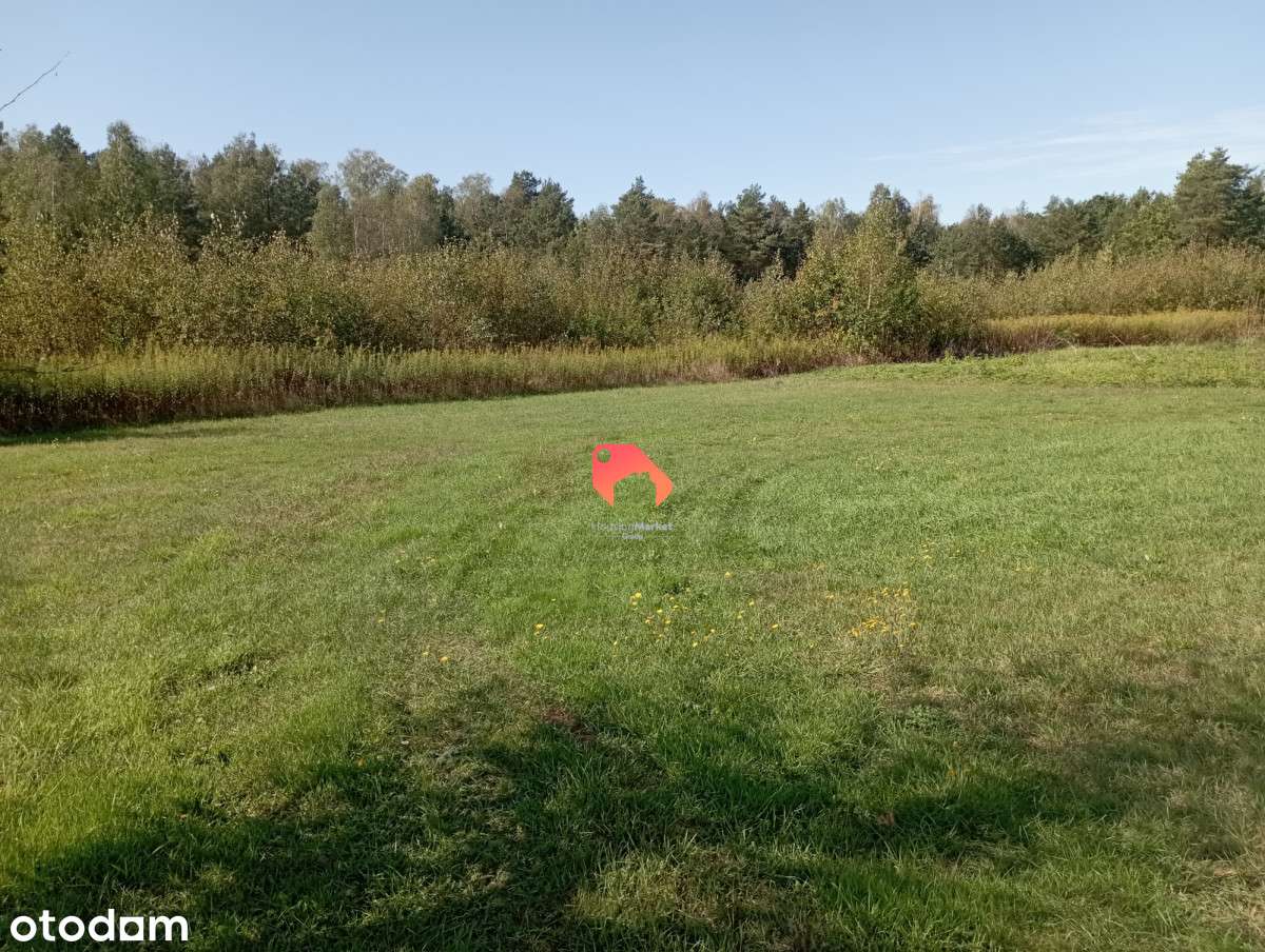 Komfortowy, energooszczędny dom blisko lasu ! - Pełny obrazek: 4/5