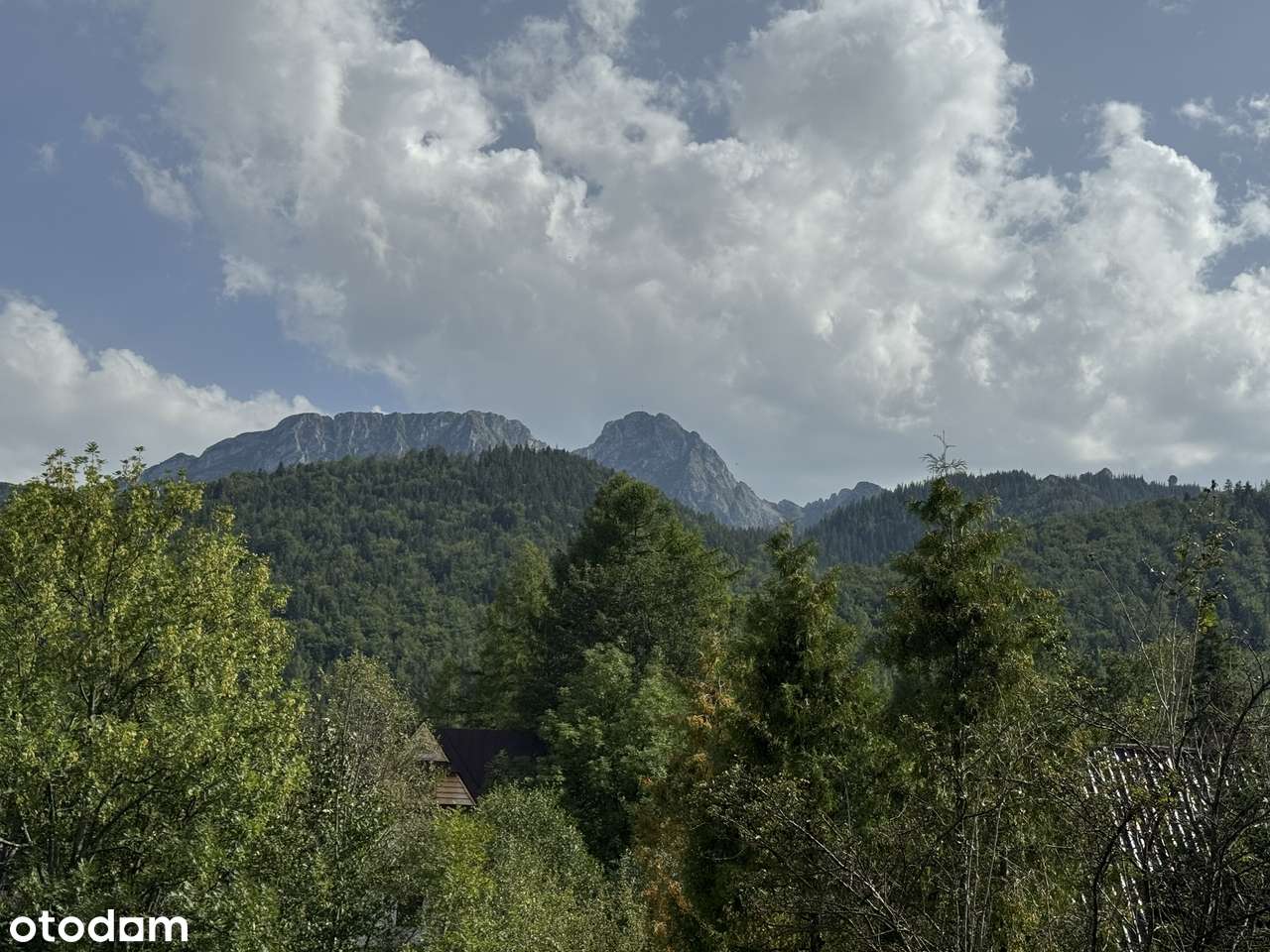 Pensjonat z projektem inwestycyjnym w Zakopanem - Pełny obrazek: 4/5