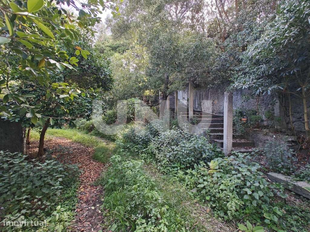 Terreno Urbano com ruína, em Rabo de Peixe. - Grande imagem: 3/12