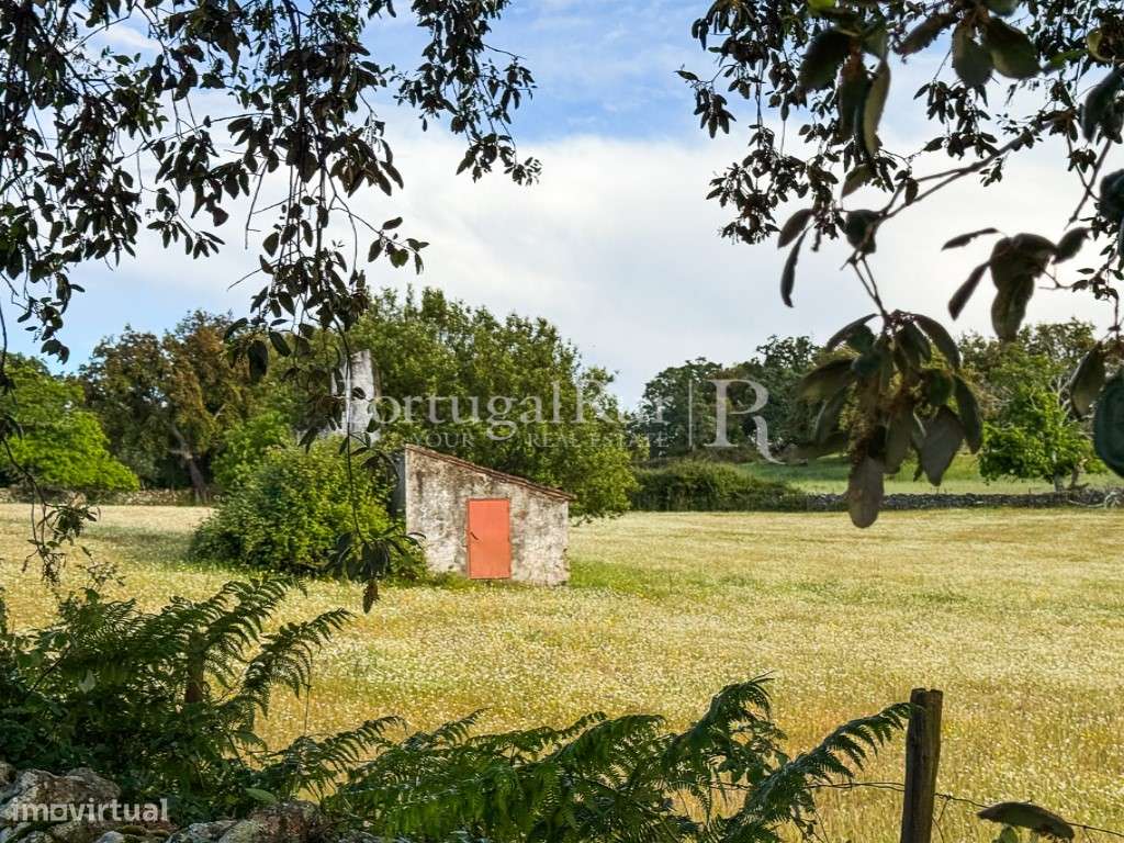 Quinta de 10 ha com projeto aprovado para 2 moradias em Marvão-52