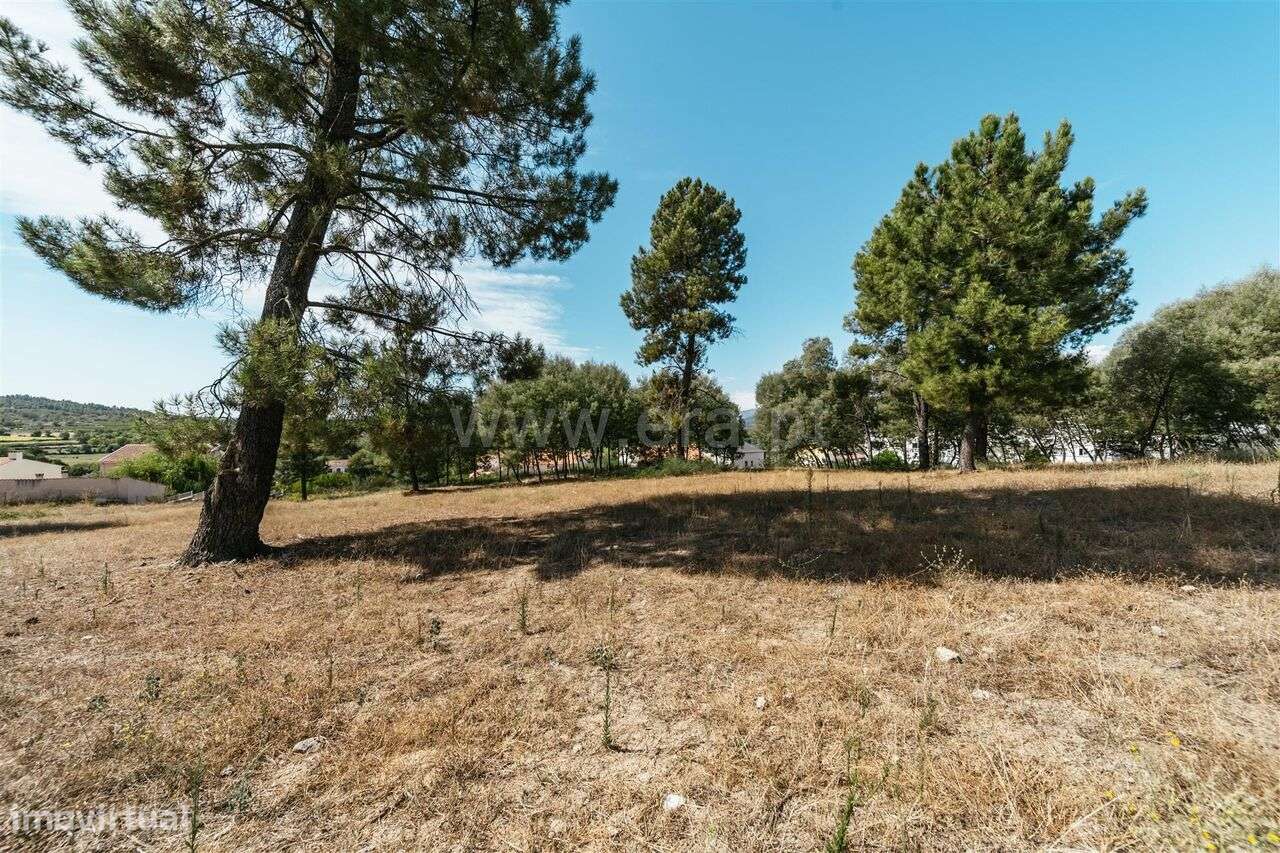 Terreno Urbano / Belmonte, Colmeal da Torre - Grande imagem: 2/3
