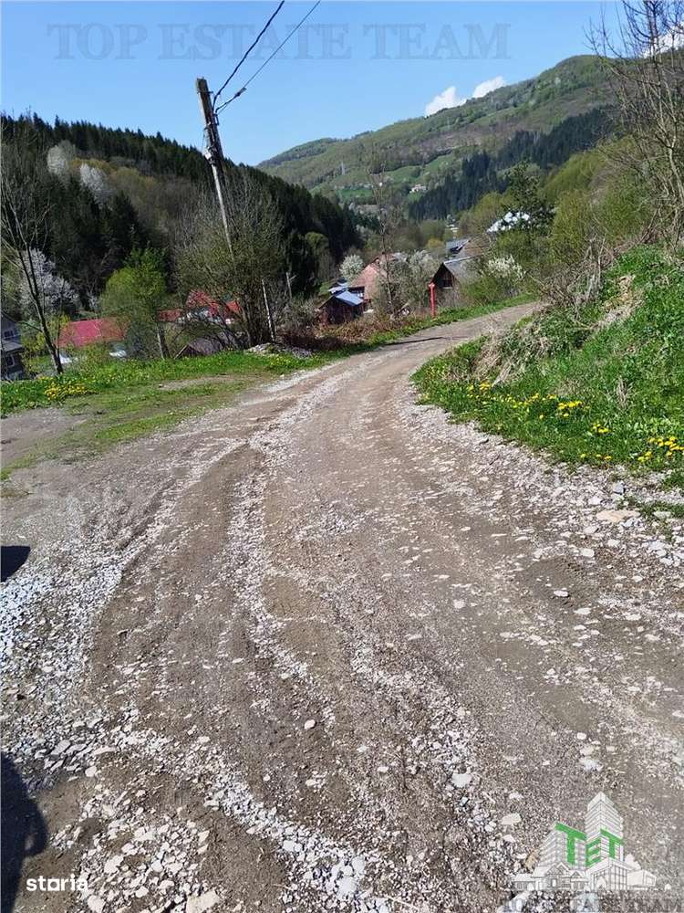 De vanzare teren intravilan, 23.594 mp, imprejmuit, cu utilitati - Ros - Imagine principală: 4/20