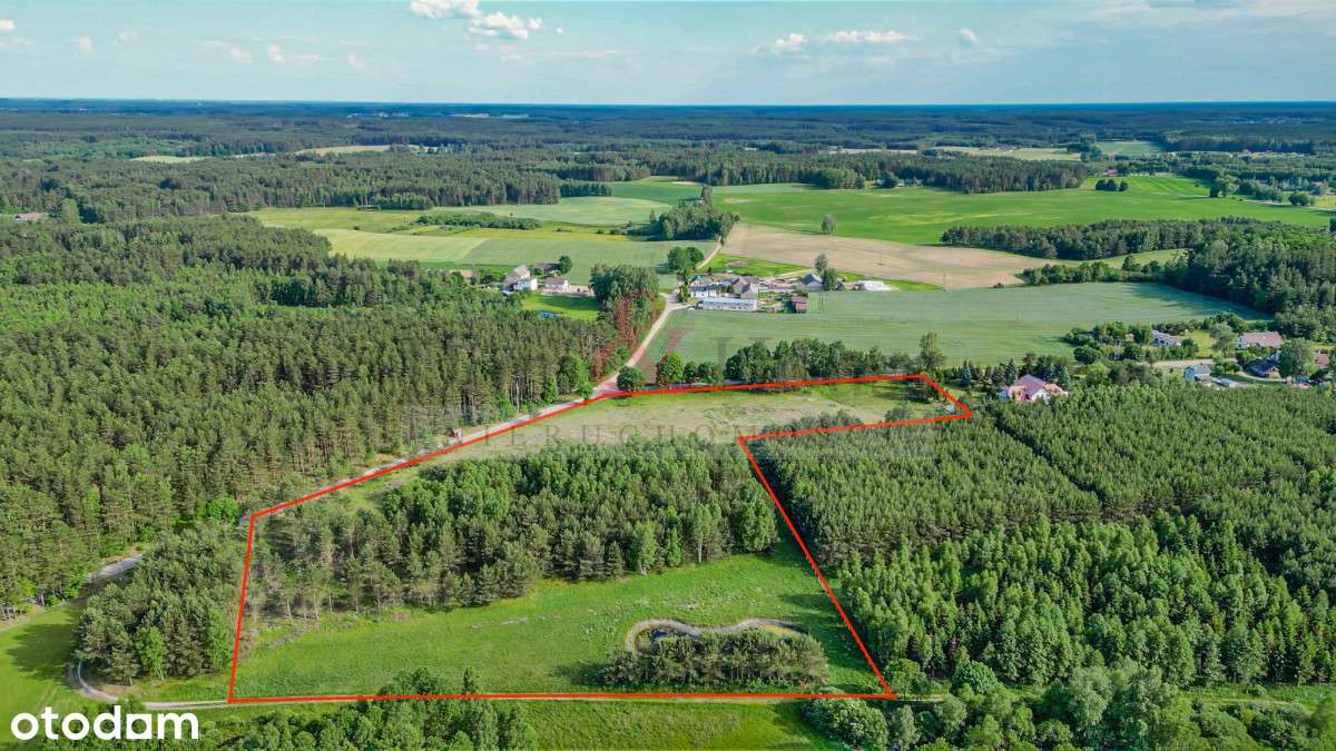 Lipy Działka na Kaszubach! - Pełny obrazek: 4/20