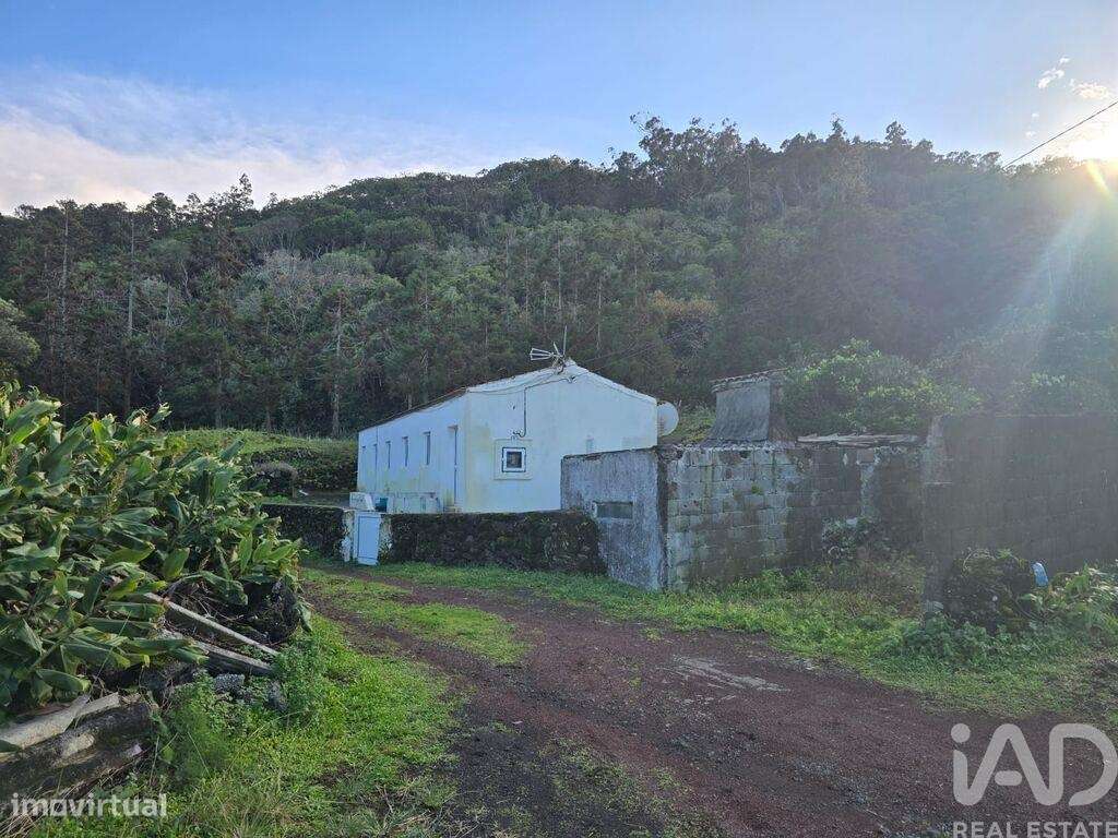 Casa de Campo T1 em Piedade de 111 m2 - Grande imagem: 4/5