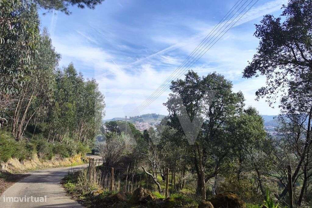 Terreno rústico florestal com vista deslumbrante - Grande imagem: 5/31