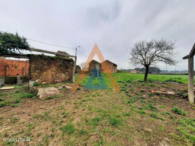 Quinta em Válega - Ovar-9