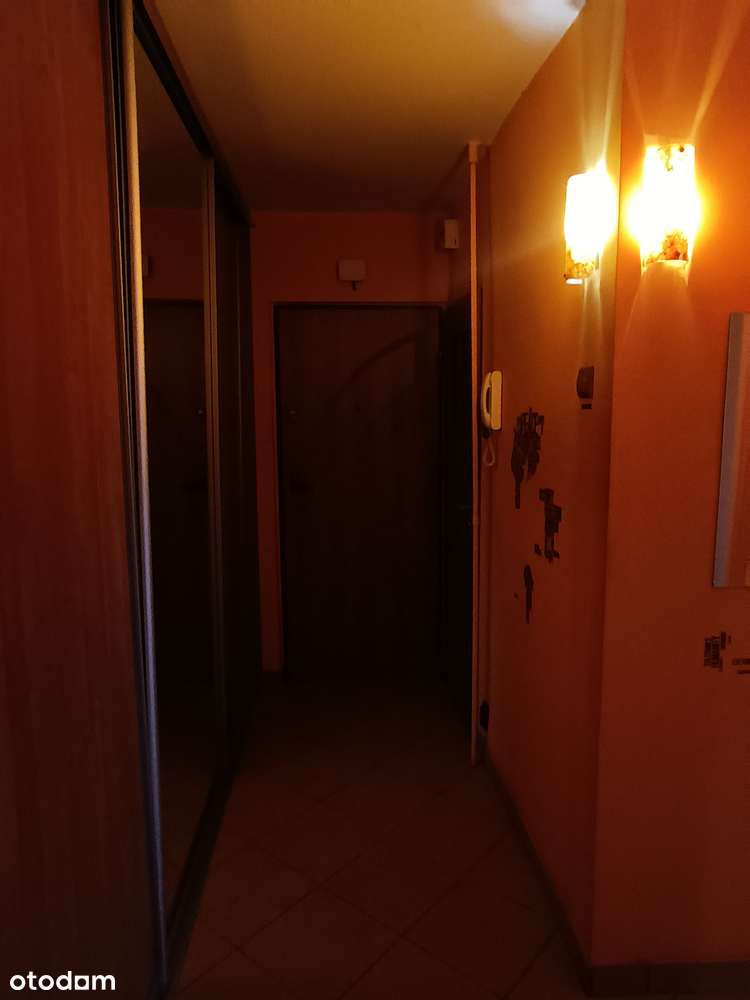 Słoneczne M3, 45 M2 z balkonem,2200 zł całość - Pełny obrazek: 2/9