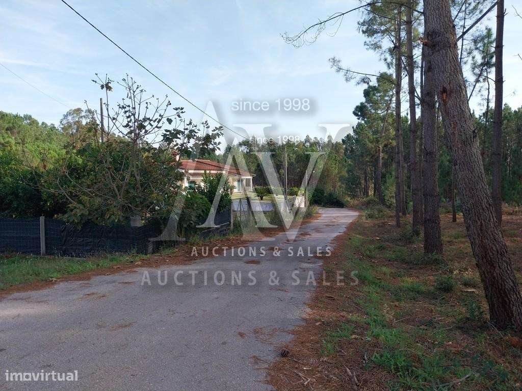 Terrenos Rústicos - ILHA - POMBAL | LEILÃO ELECTRÓNICO | FIM 25*FEV - Grande imagem: 4/5