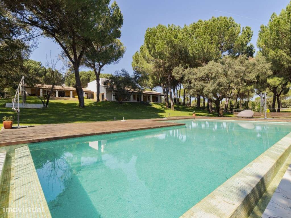 Refúgio Contemporâneo entre Vinhas na Comporta-46