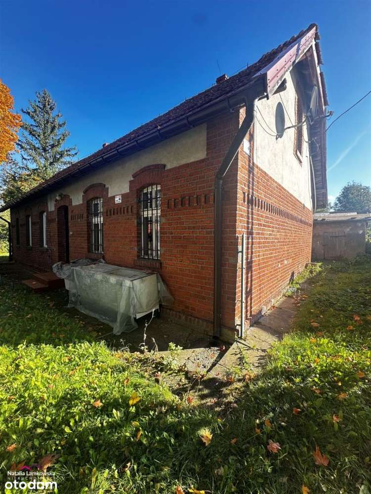 Plesewo*lokal użytkowy - Pełny obrazek: 4/11